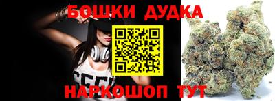 дмт Славгород