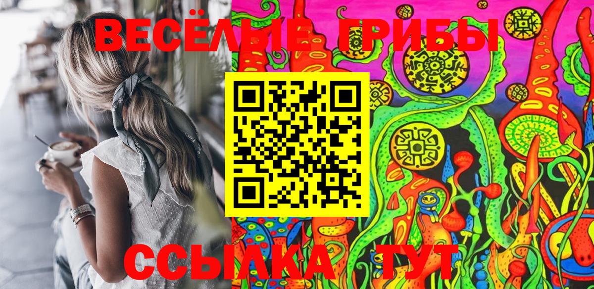 Светлоград  Галлюциногенные грибы MAGIC MUSHROOMS  купить наркотик  Вход с VPN 